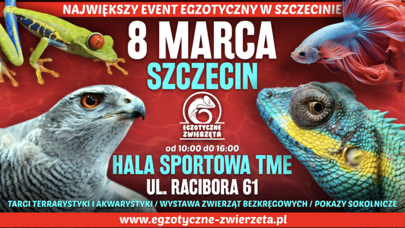 Targi Egzotyczne Zwierzęta