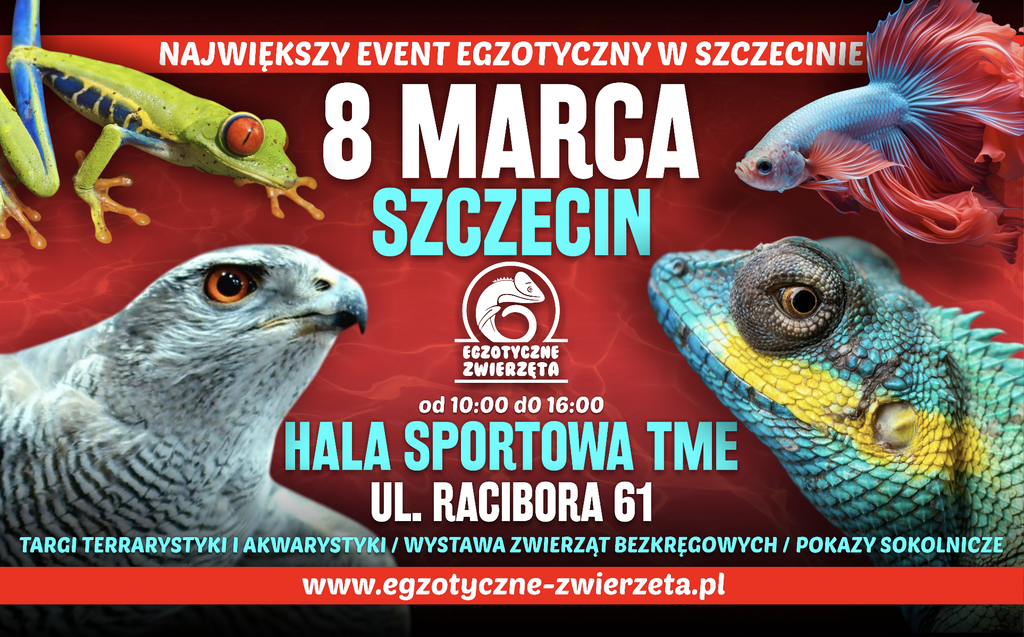 Plakat lub grafika Targów Egzotycznych Zwierząt odwiedzanych przez uczniów ZSEE TME